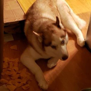 Meet your Posher, Polly